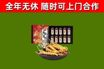 阿克陶回收冬虫夏草价格