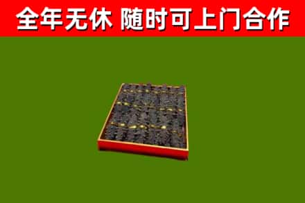 阿克陶回收海参